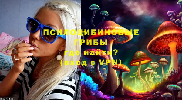 2c-b Новокубанск
