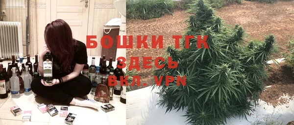 ПСИЛОЦИБИНОВЫЕ ГРИБЫ Новозыбков
