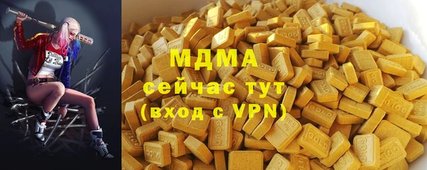 ПСИЛОЦИБИНОВЫЕ ГРИБЫ Новозыбков