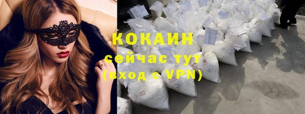 ПСИЛОЦИБИНОВЫЕ ГРИБЫ Новозыбков
